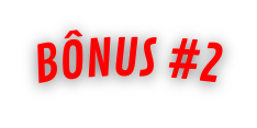 BÔNUS 2