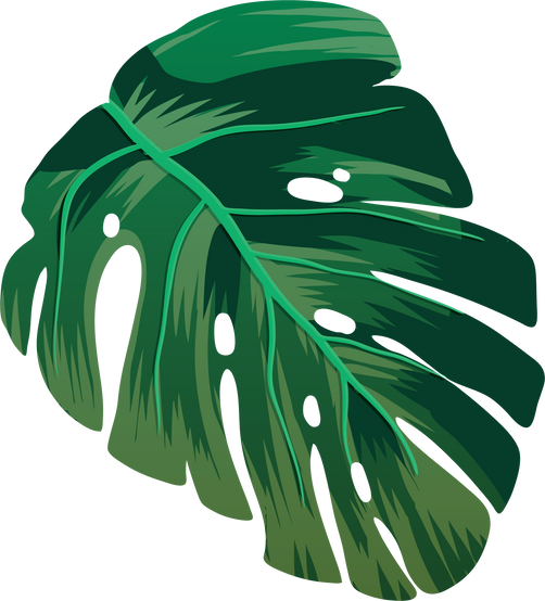 Tropical Leaves